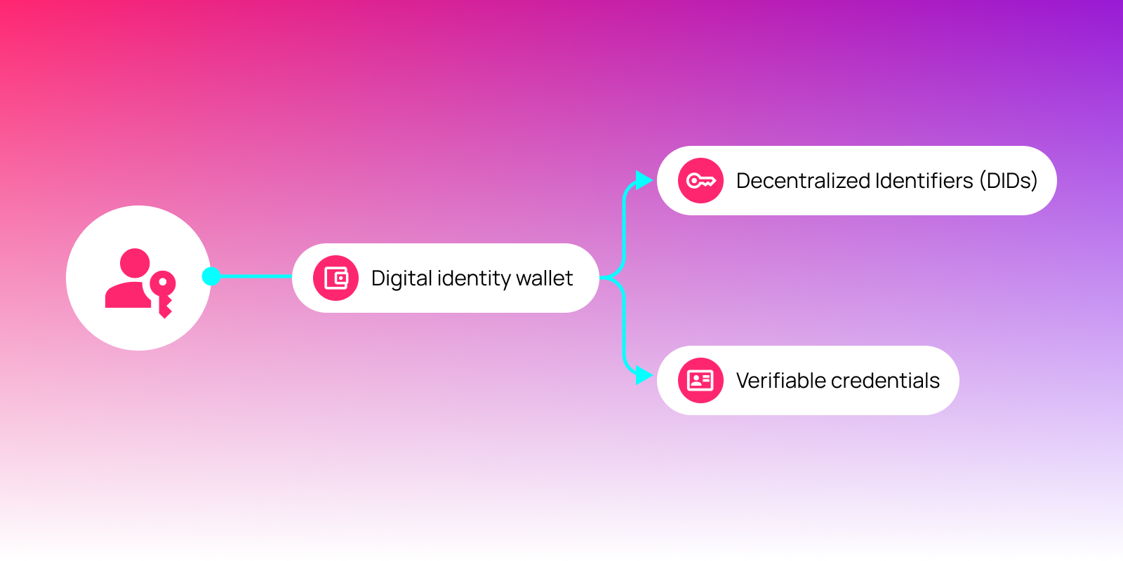 Diagram showing a digital identity wallet connecting to two core components of decentralized identity: decentralized identifiers (DIDs) and verifiable credentials.